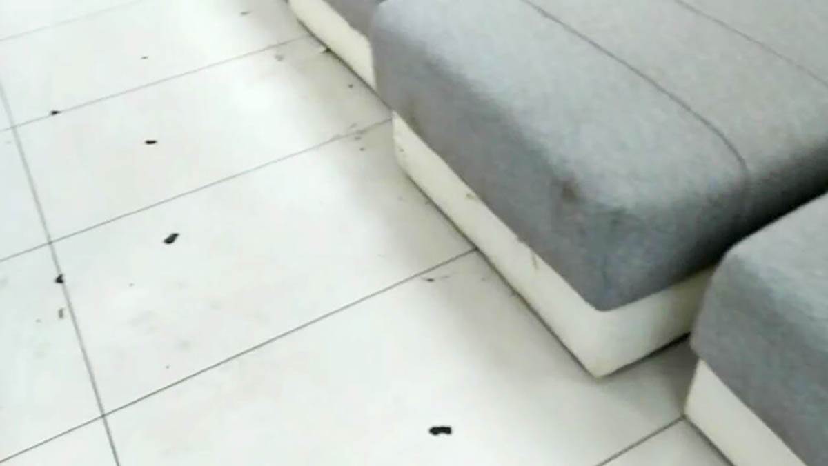 Zadruga kuca u haosu (5).jpg