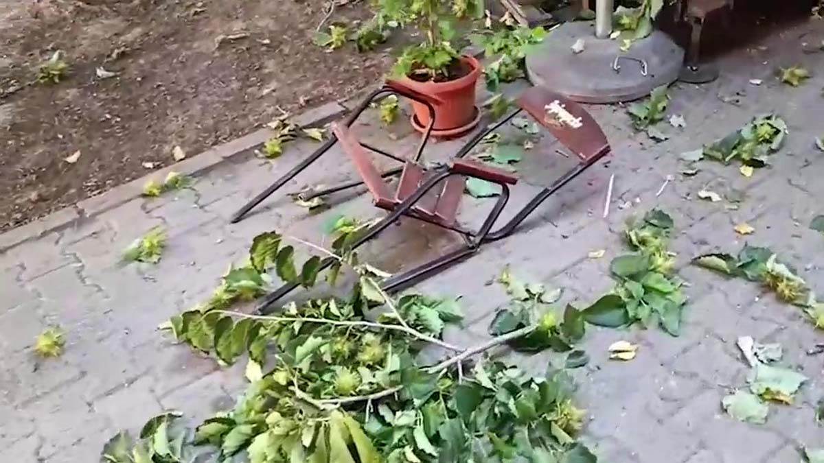 Novi Sad, kola, kafić (4).jpg