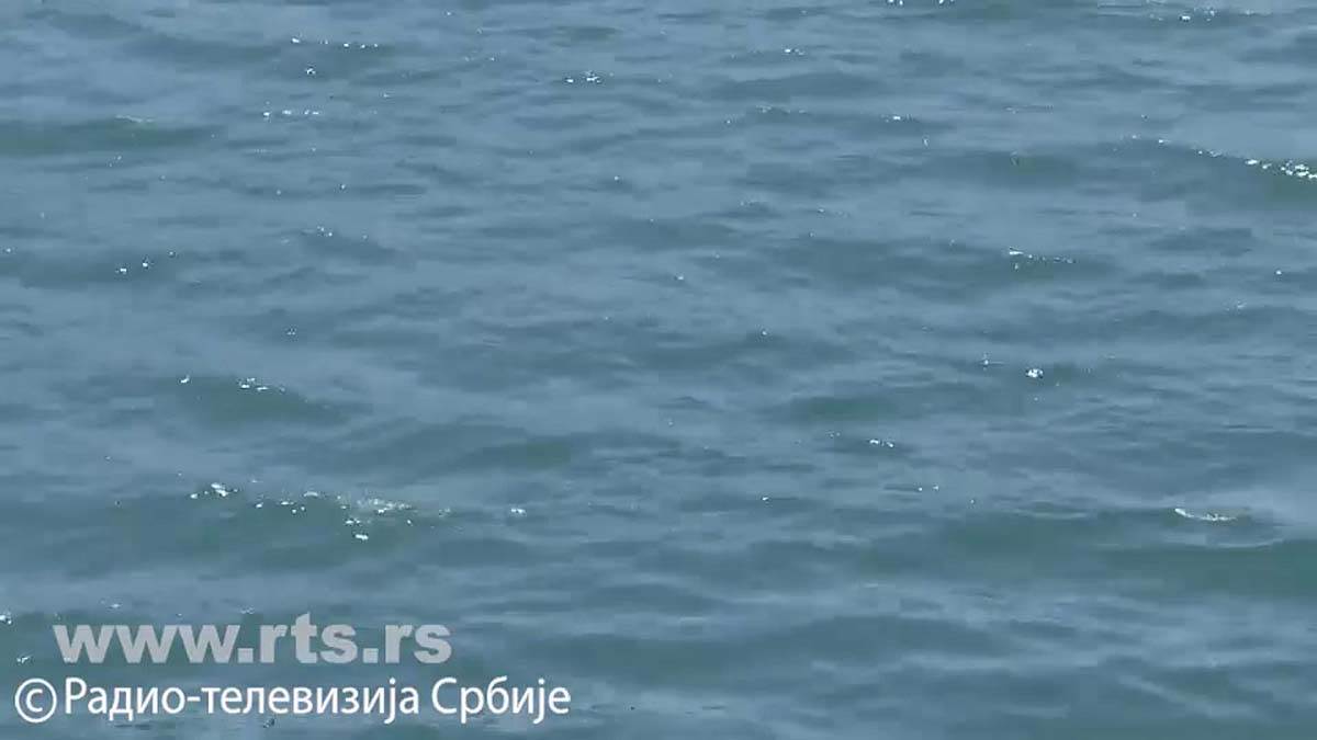 Adu Bojanu guta more (4).jpg