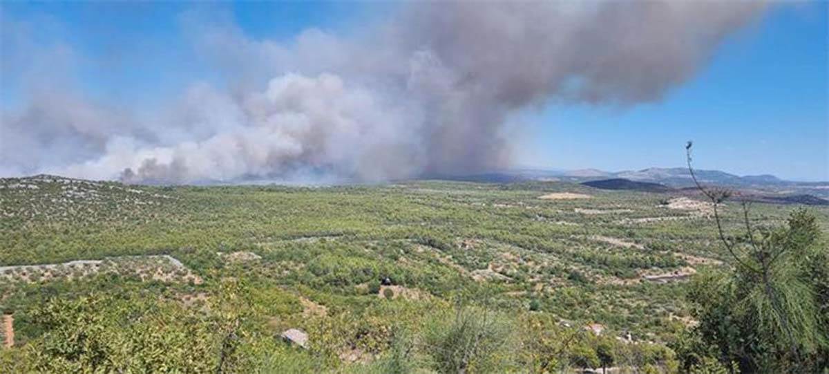 pozar kod sibenika (4).jpg