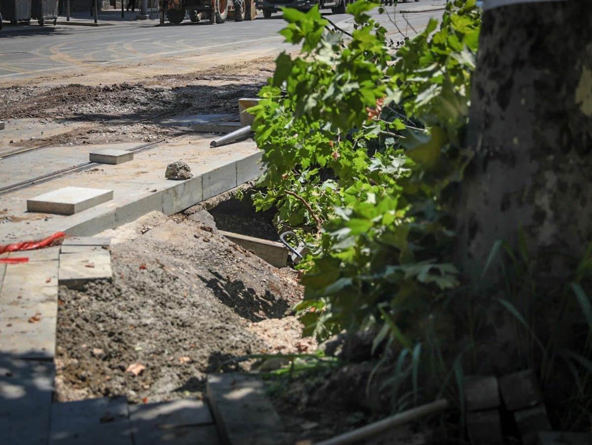 Cev centar grada nema vode  (7).jpg