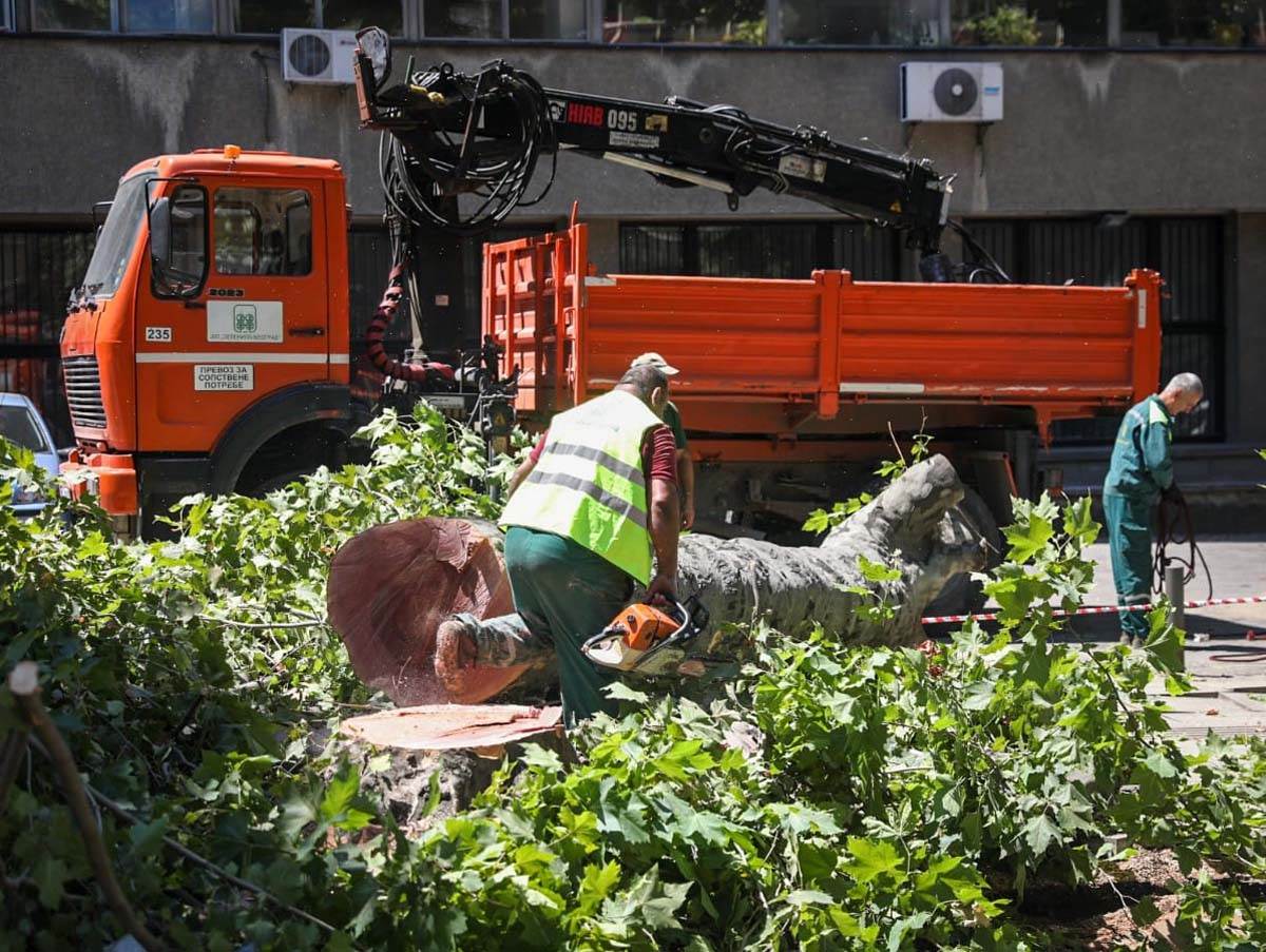 Cev centar grada nema vode  (10).jpg