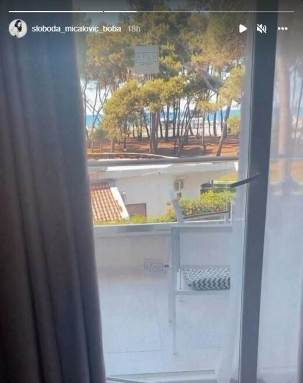 sloboda mićalović2.jpg