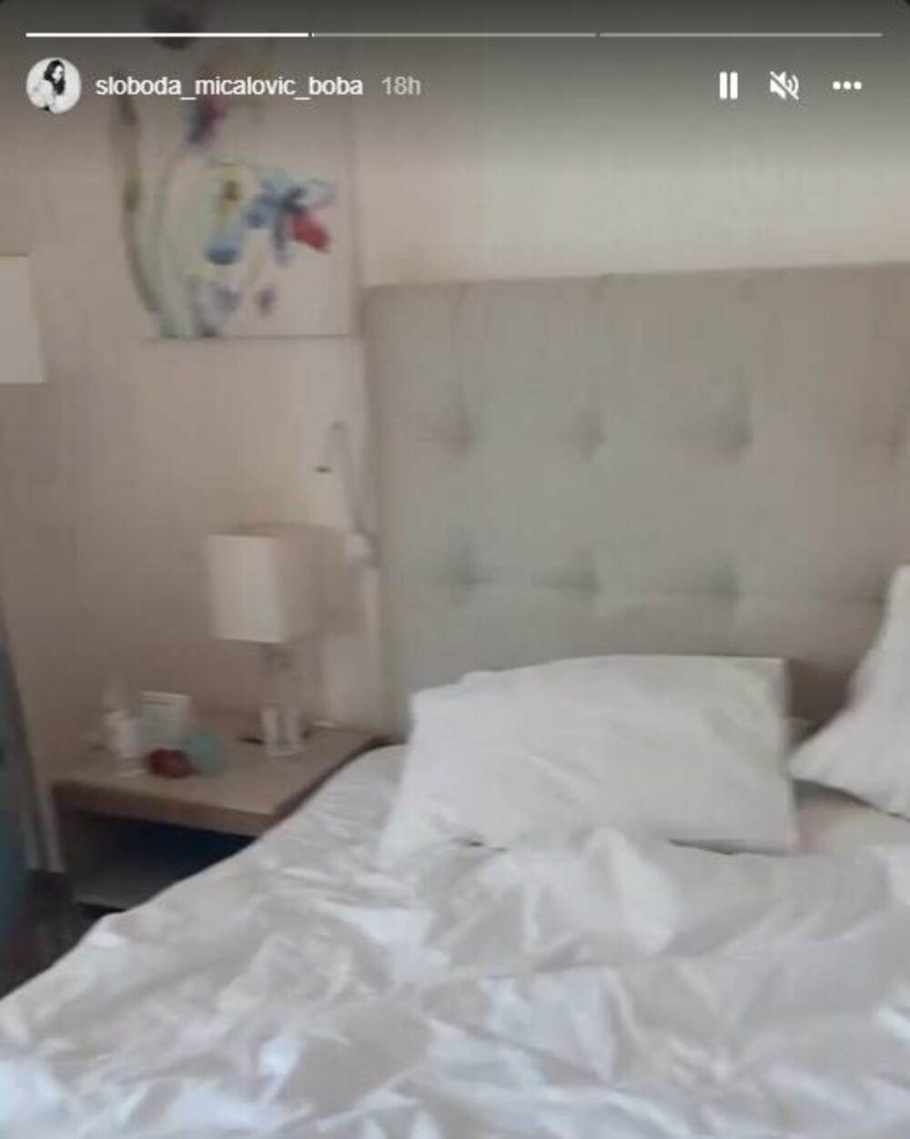 sloboda mićalović4.jpg