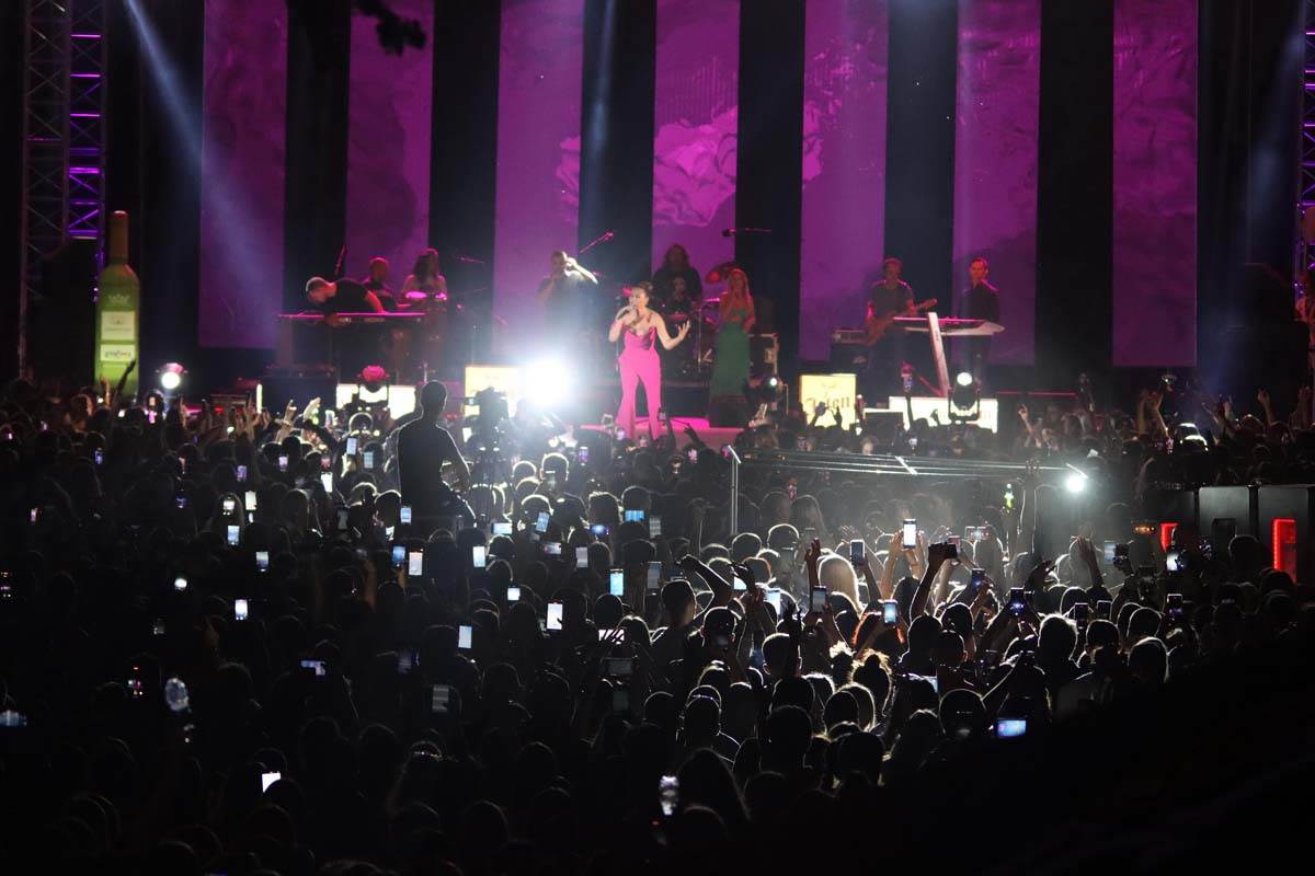 Ceca Raznatovic, Nastup (10).jpg