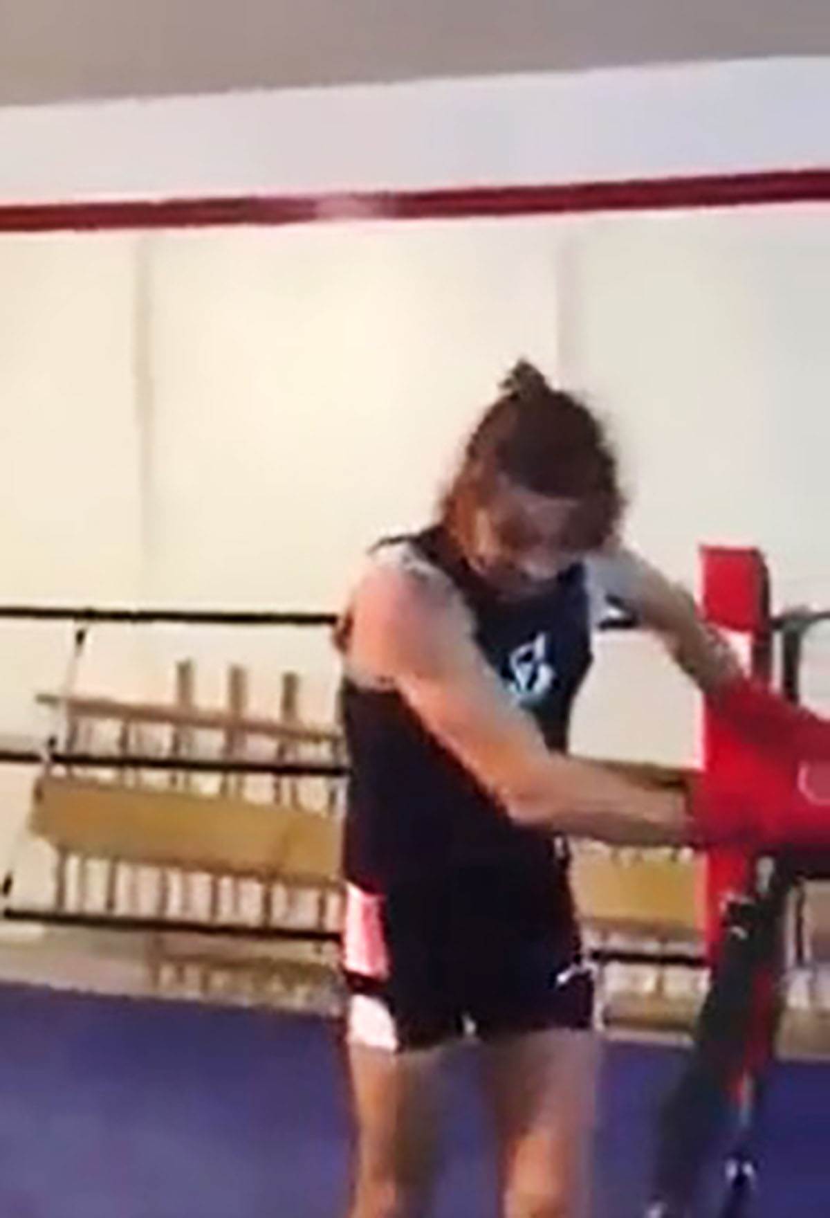 Matori bokser (2).jpg