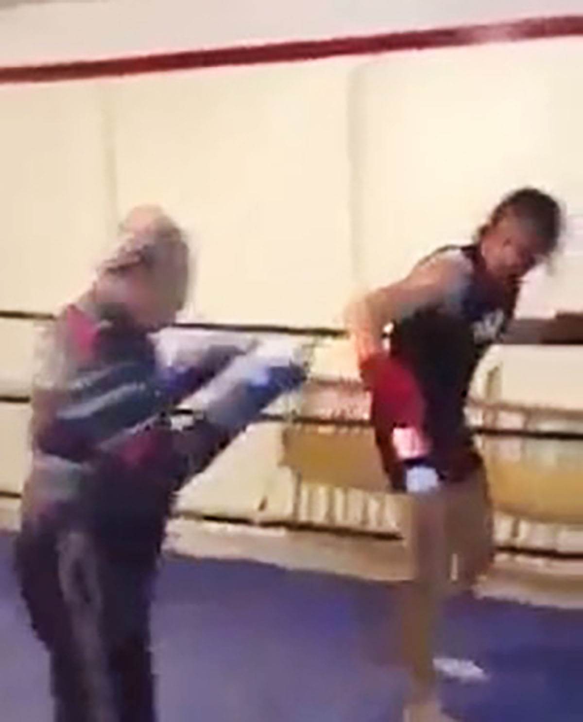 Matori bokser (3).jpg