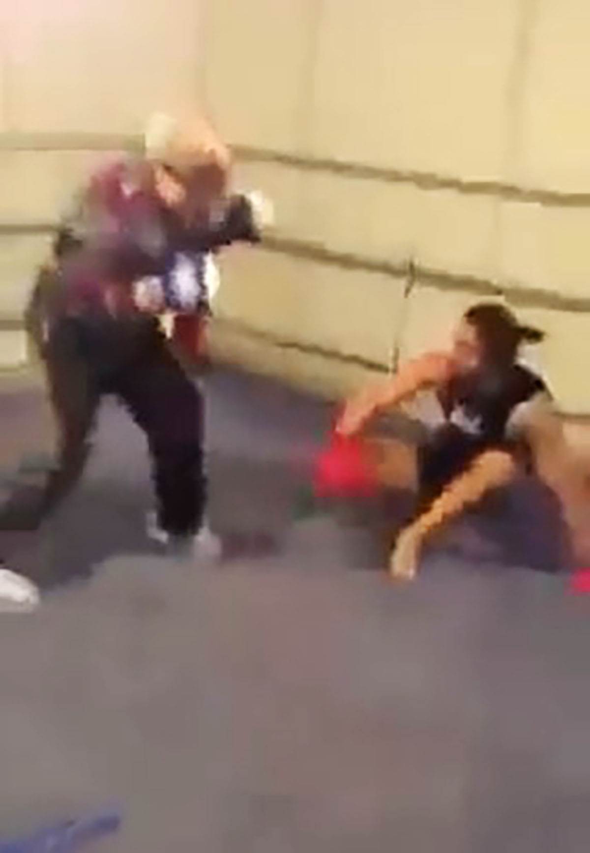 Matori bokser (4).jpg