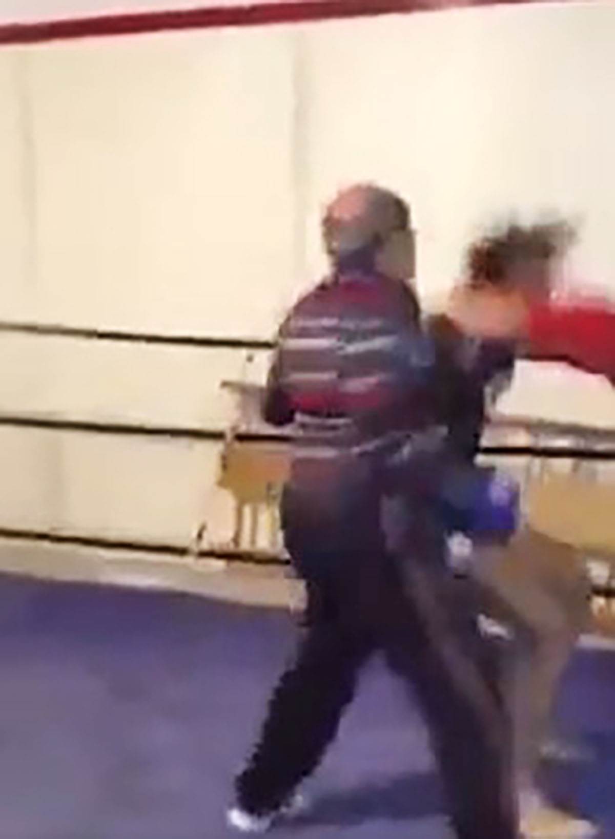 Matori bokser (5).jpg