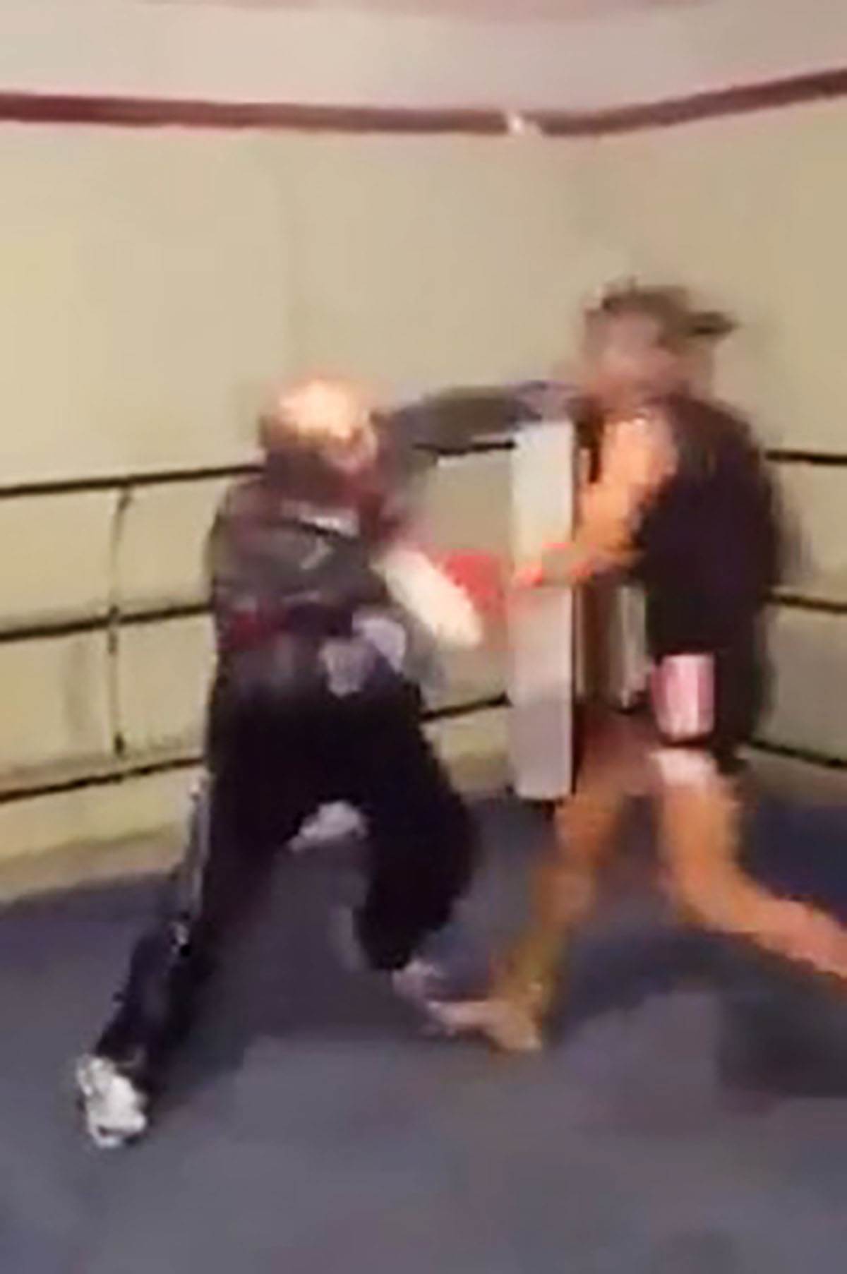 Matori bokser (6).jpg