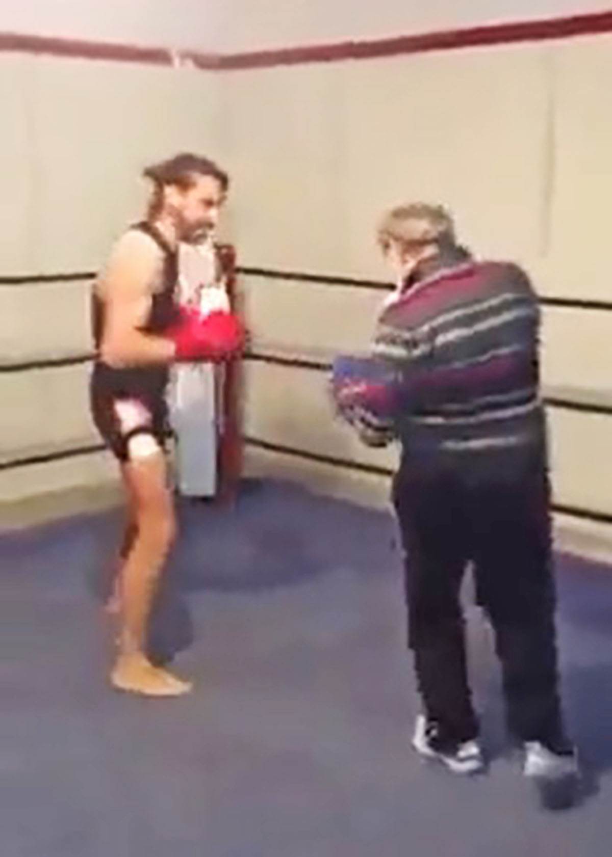 Matori bokser (1).jpg