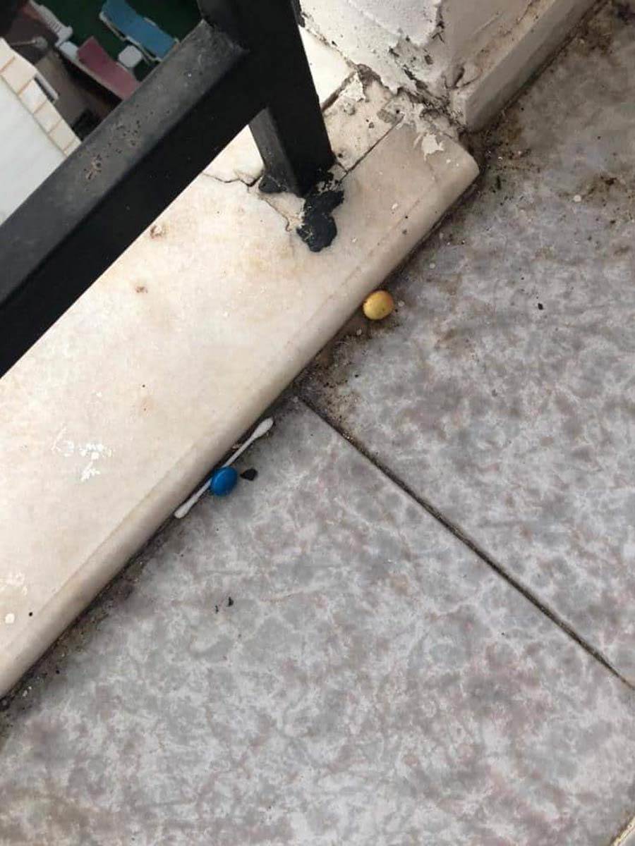 GO2 prevara 1 (2).jpg