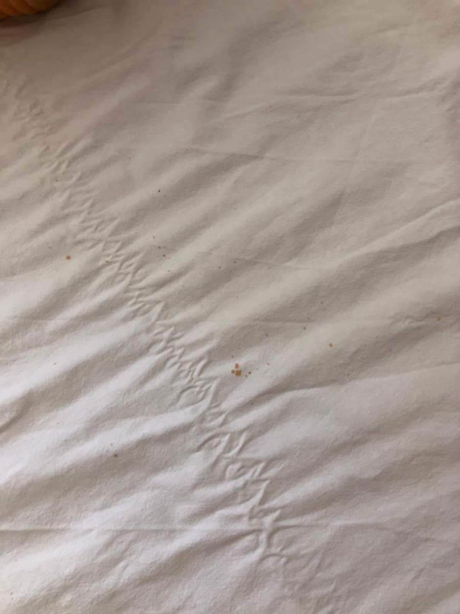 GO2 prevara 1 (3).jpg