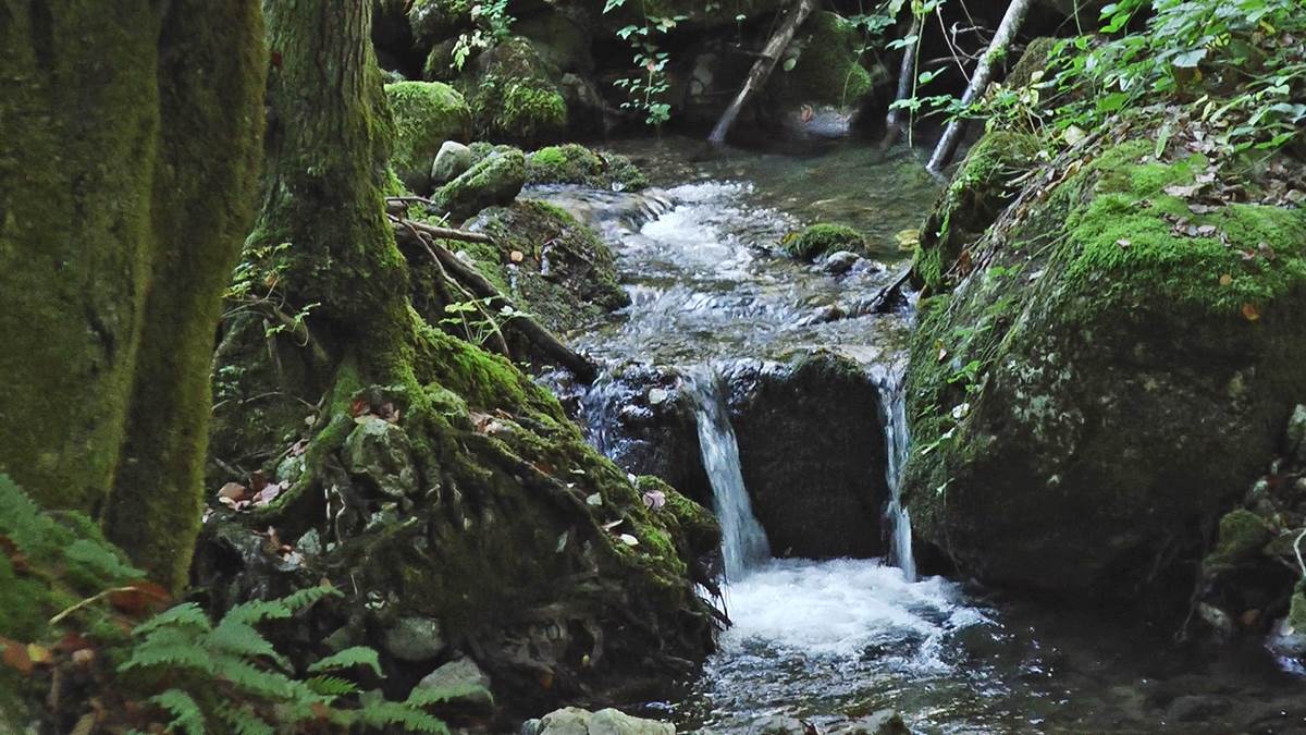 izvor ladjevac (2).jpg