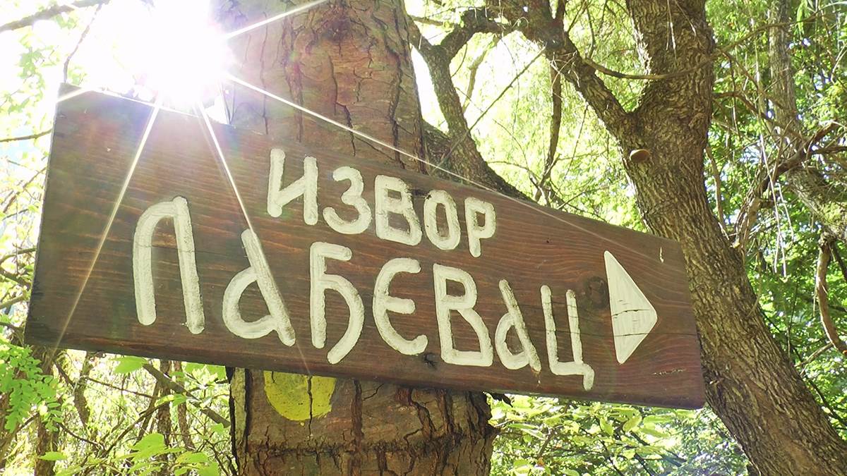 izvor ladjevac (3).jpg