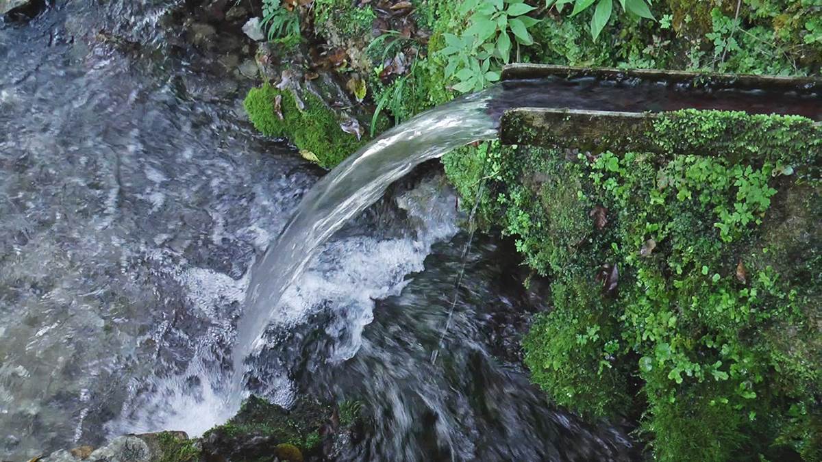 izvor ladjevac (1).jpg