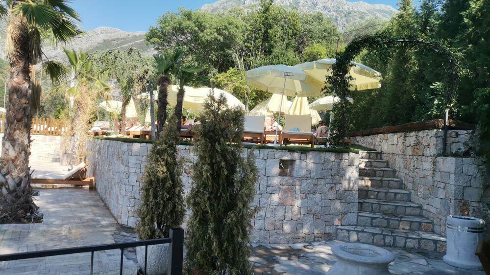 vladimir tomović6.jpg