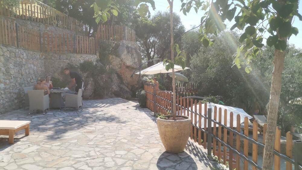 vladimir tomović4.jpg