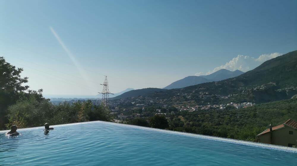 vladimir tomović3.jpg