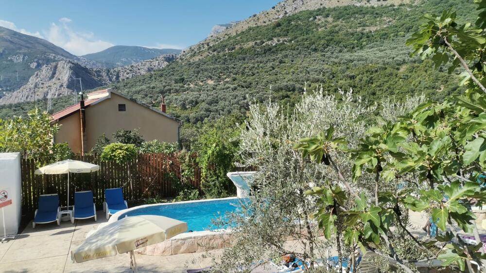 "M'rš stoko, mrziš Srbe, a dolaziš da uzimaš pare": Poznati Crnogorac žestoko izvređao Dina Merlina