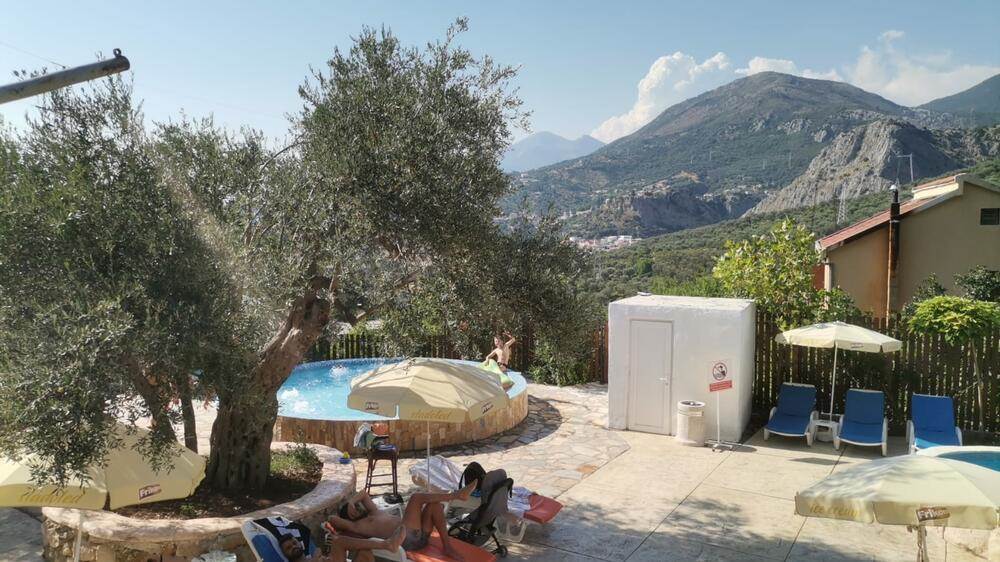 vladimir tomović1.jpg