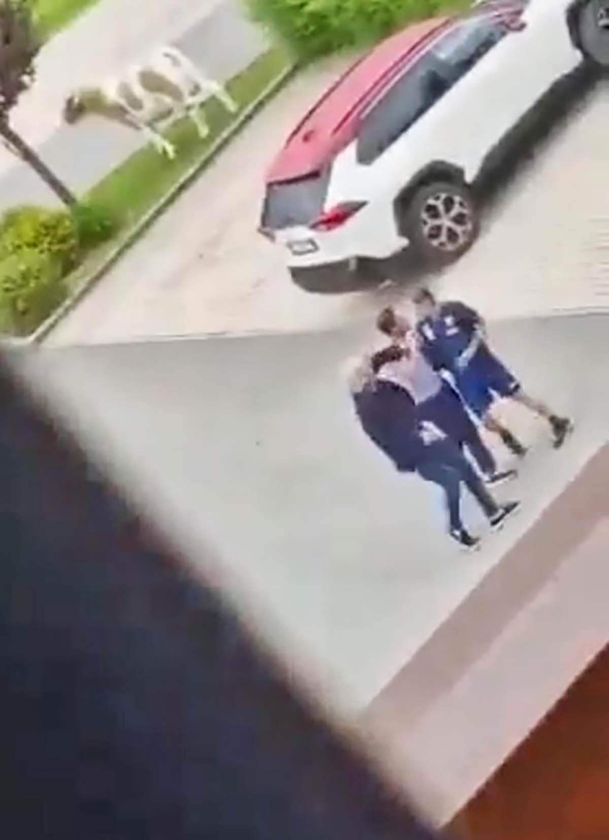 Tuca Italija (6).jpg