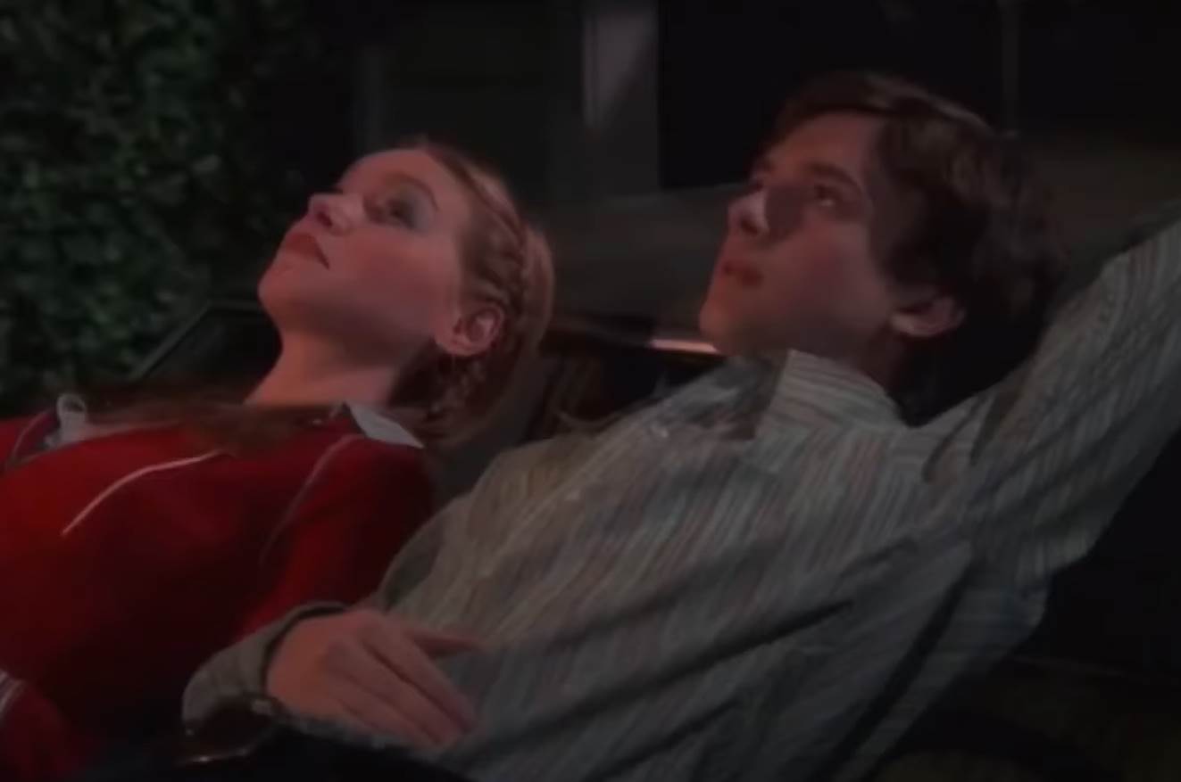 vesele sedamdesete dona (3).png