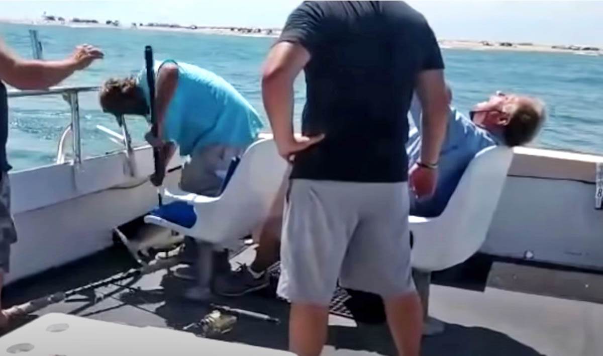 Lov na ajkule (4).jpg