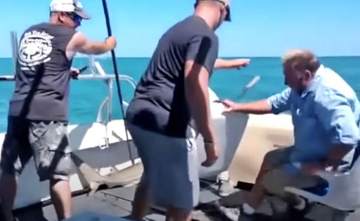 Lov na ajkule (7).jpg