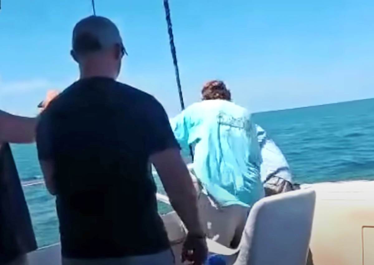 Lov na ajkule (1).jpg