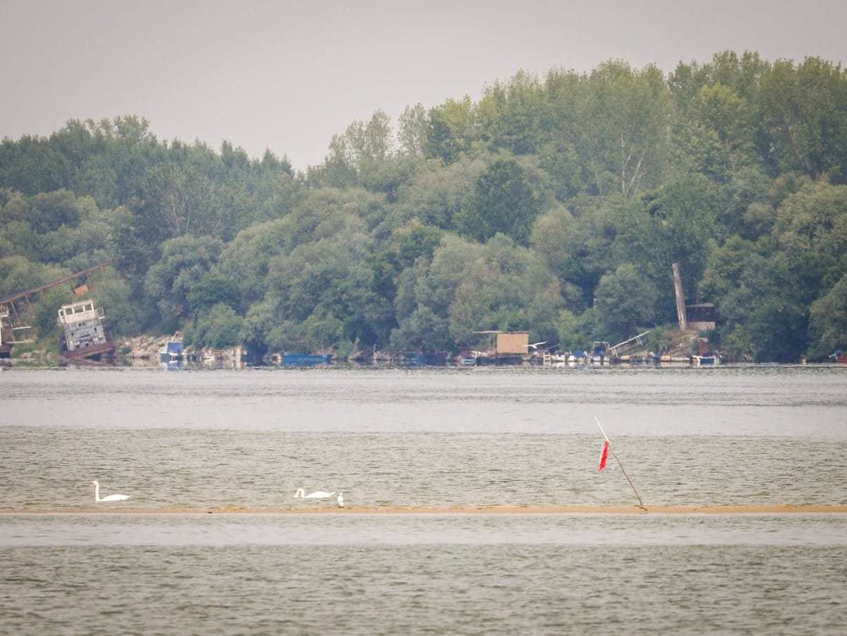 Nizak vodostaj Dunava (5).jpeg