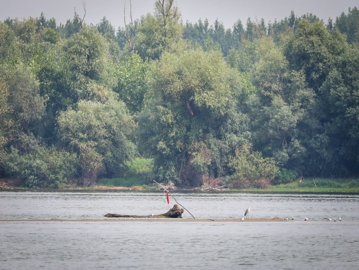 Nizak vodostaj Dunava (10).jpeg