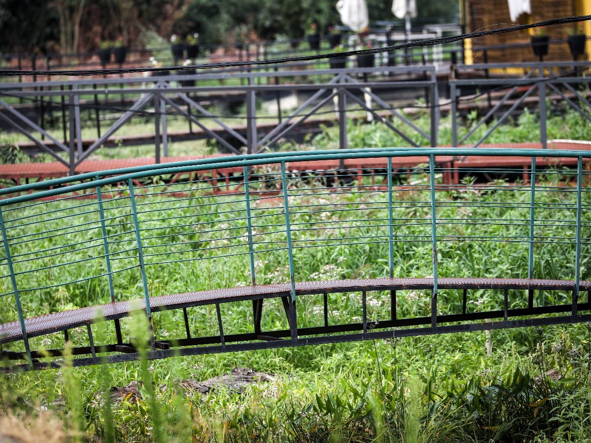 Nizak vodostaj Dunava (16).jpeg