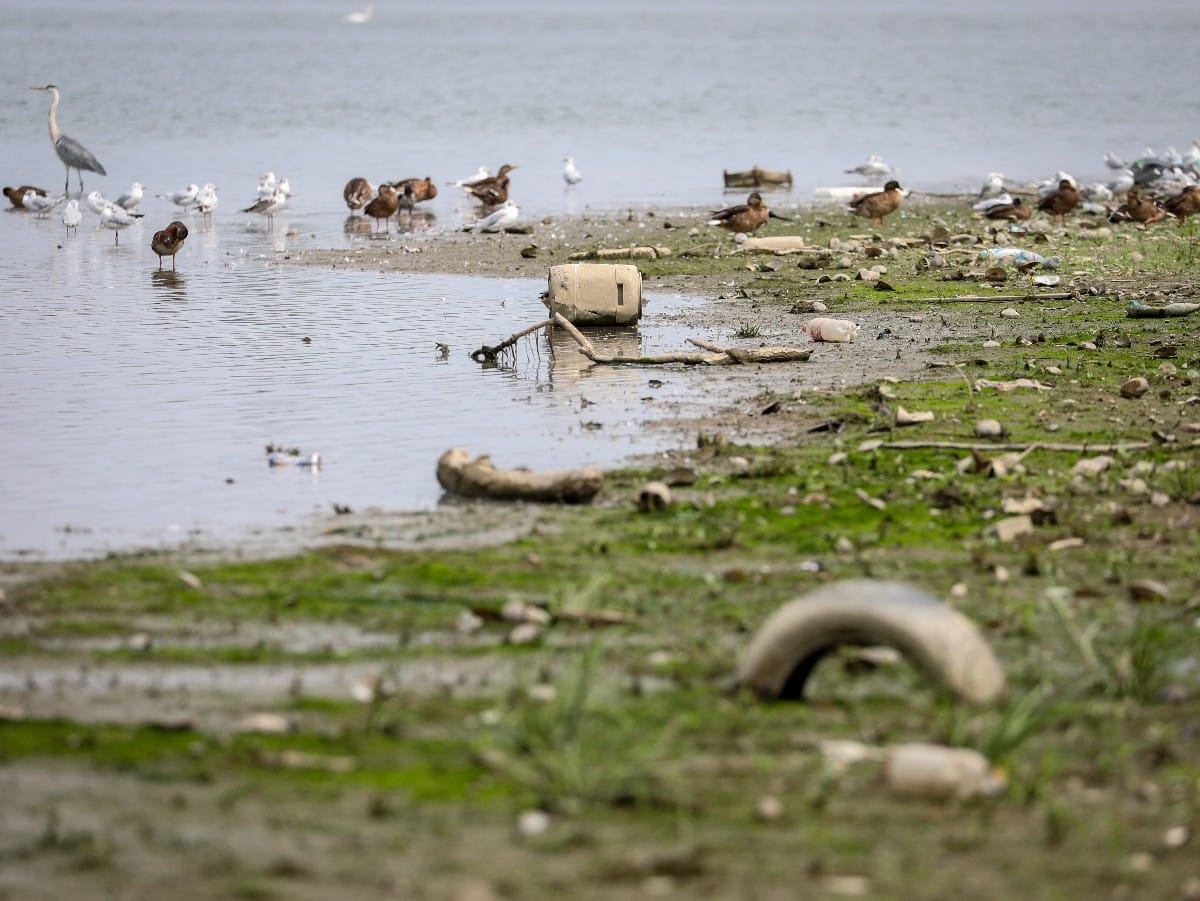 Nizak vodostaj Dunava (21).jpeg