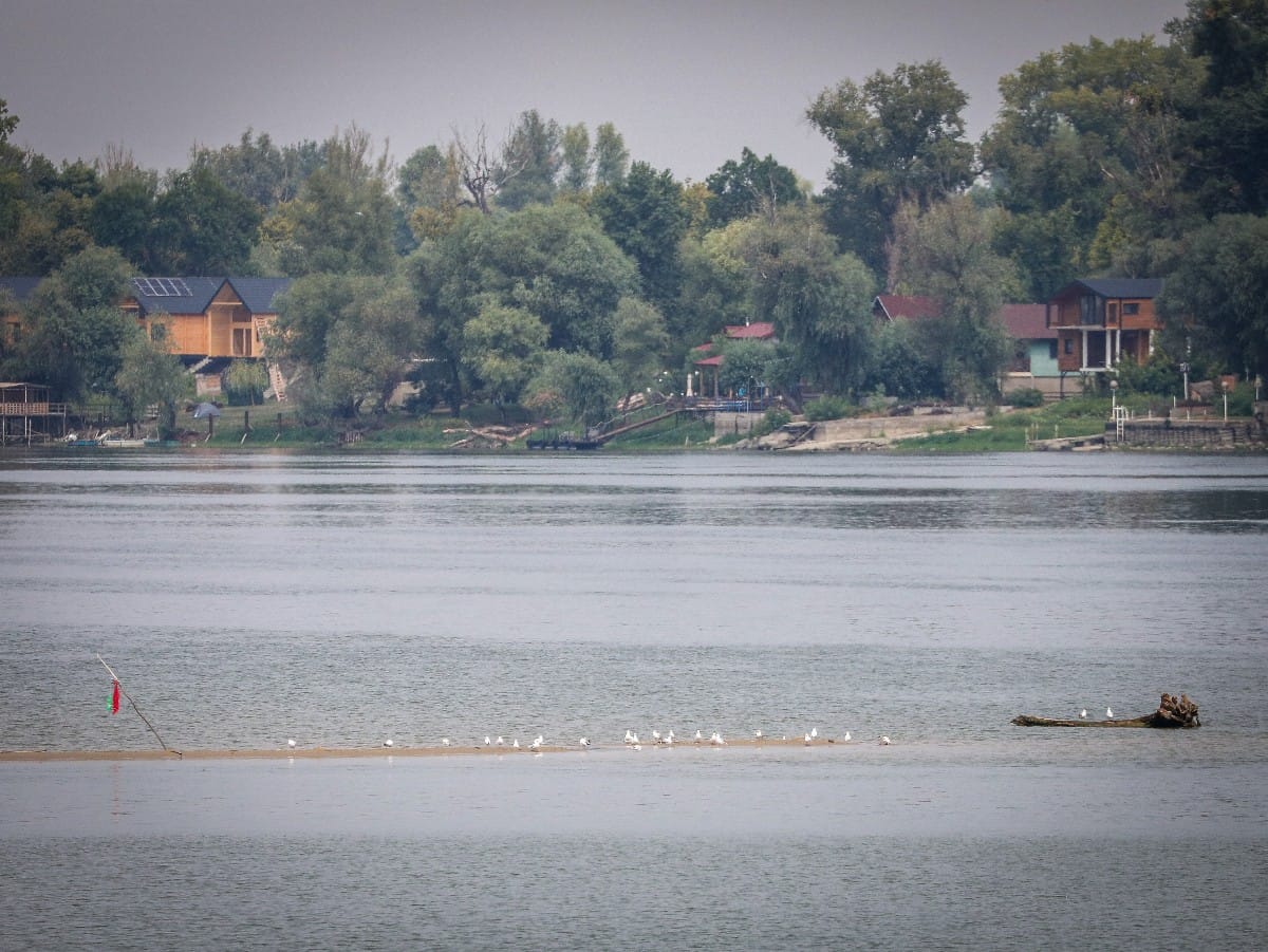 Nizak vodostaj Dunava (26).jpeg
