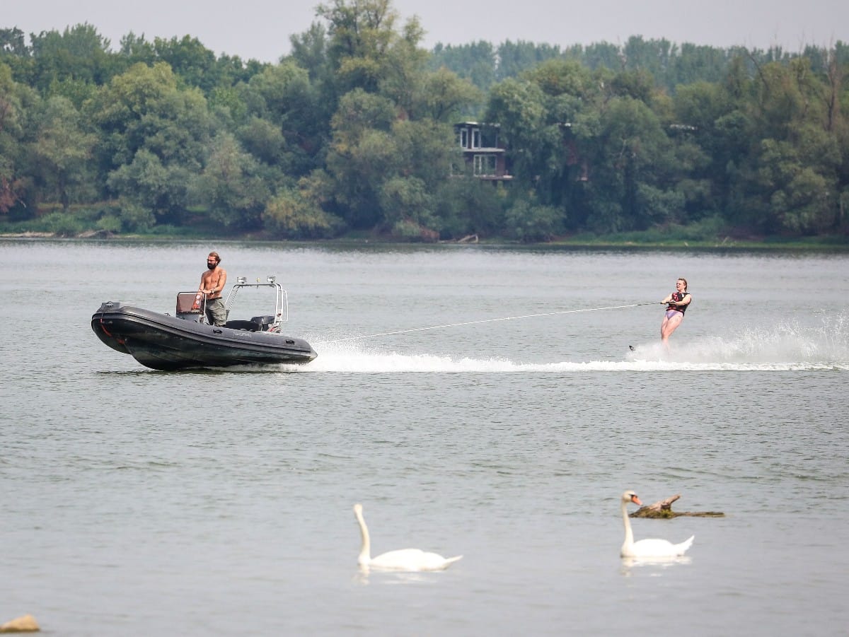 Nizak vodostaj Dunava (30).jpeg