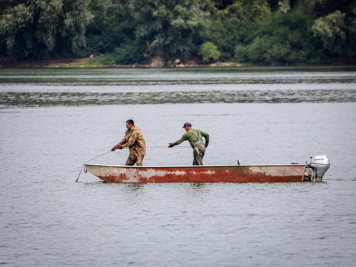 Nizak vodostaj Dunava (31).jpeg