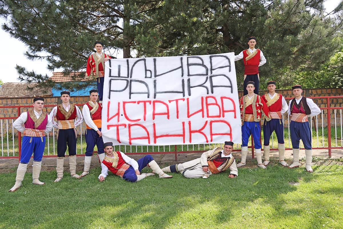 Sljiva ranka i stativa tanka.JPG