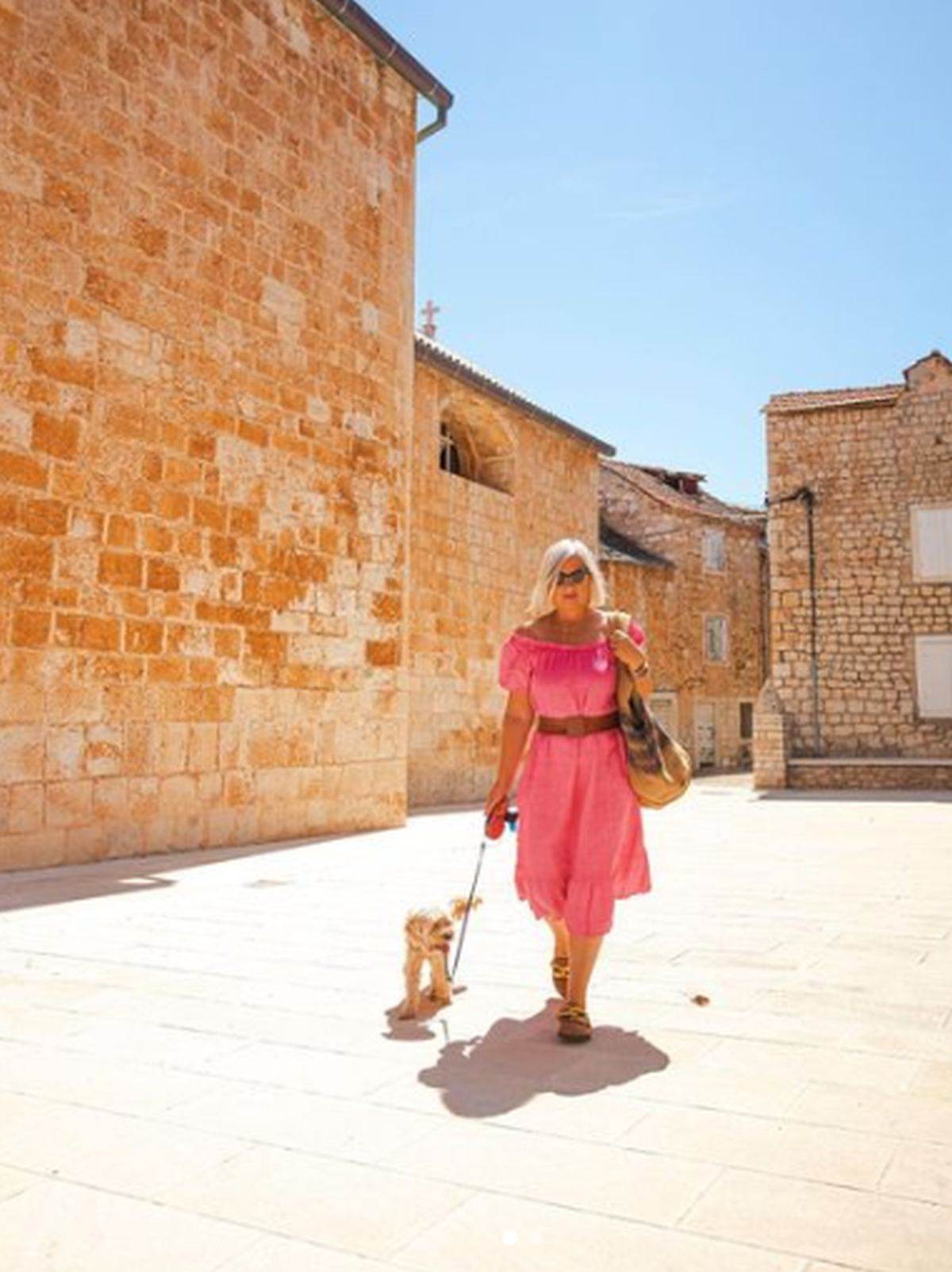 Danijela o životu i smrti Dina Dvornika