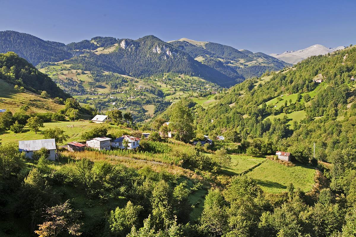 Giresun_Kulakkaya_Süllü_Mountain_4368x2912px__300 dpi.jpg
