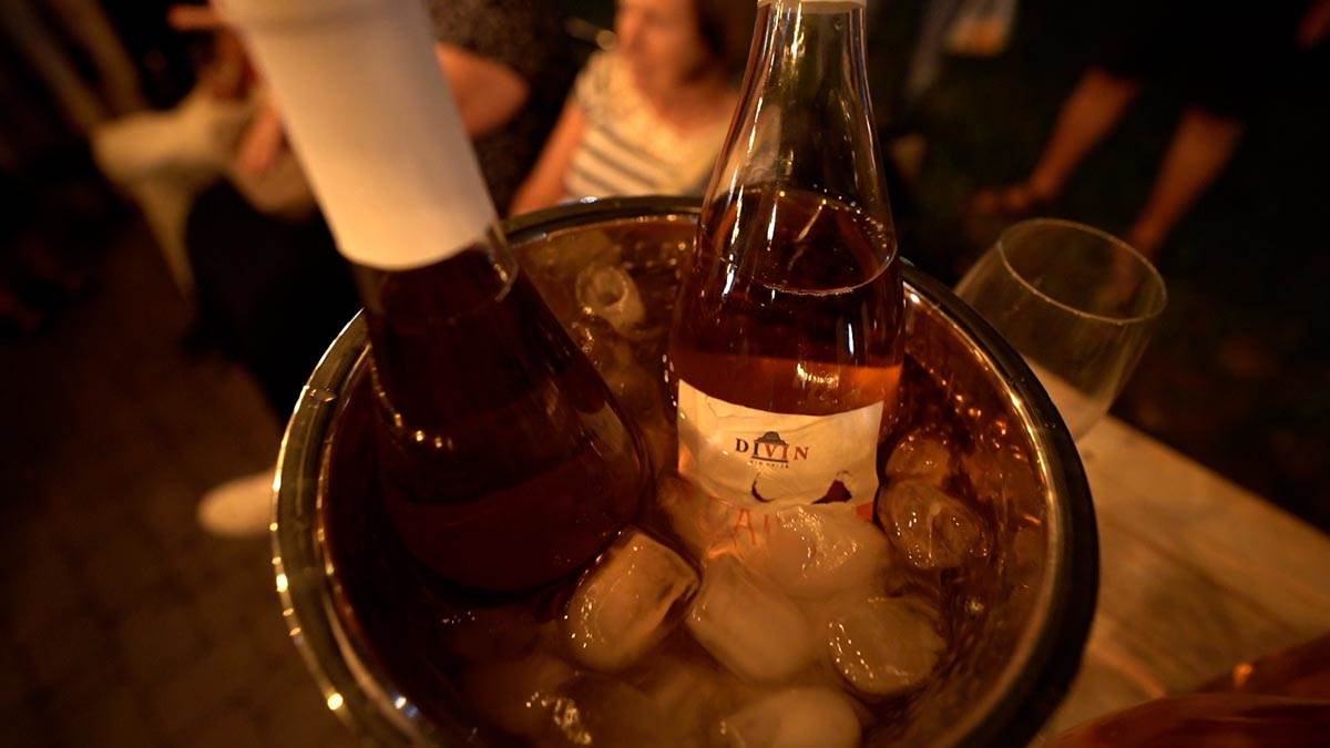 vinski park promo  (1).jpg