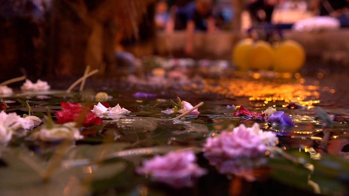 vinski park promo  (5).jpg