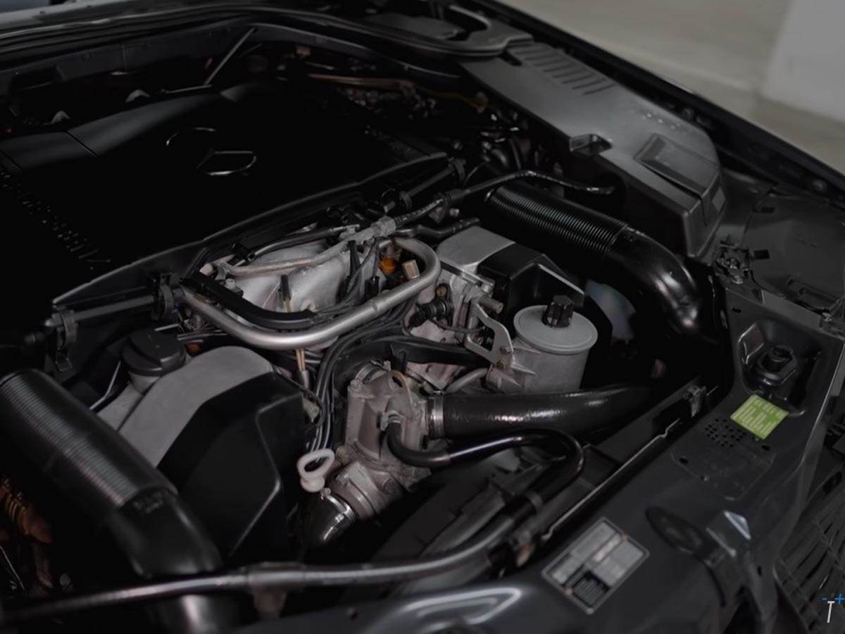 slob amercedes slon  (2).jpg