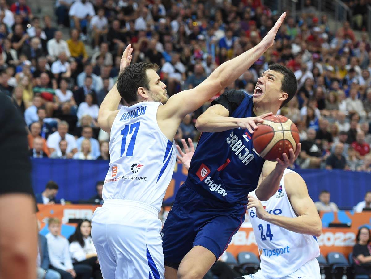 Srbija Češka  (9).jpg