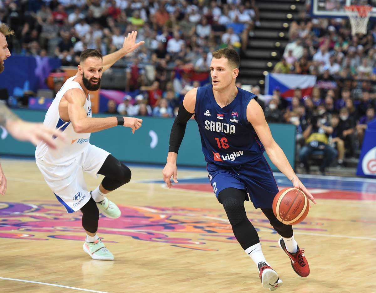 Srbija Ceska  (12).jpg