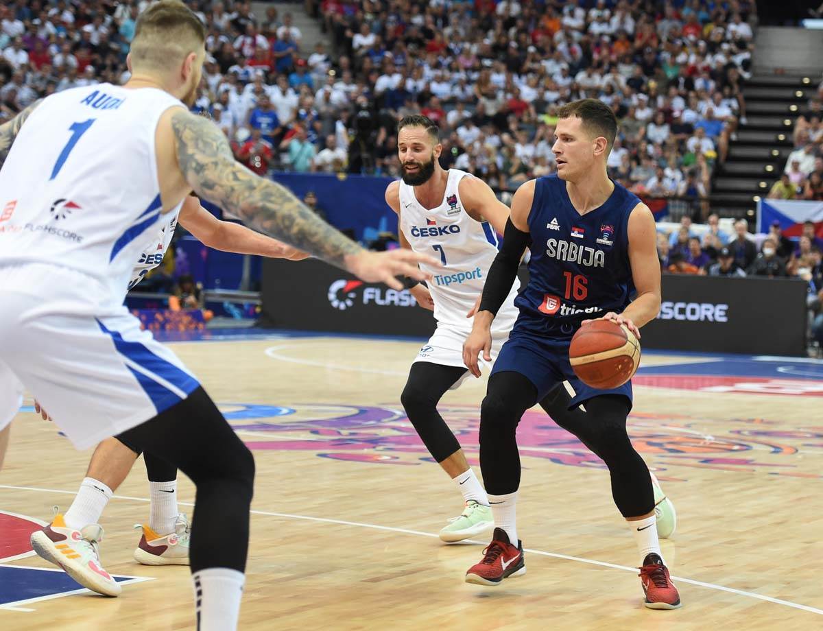 Srbija Ceska  (13).jpg