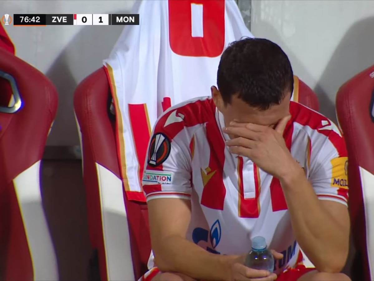 Slavoljub Srnić o Crvena zvezda Štutgart