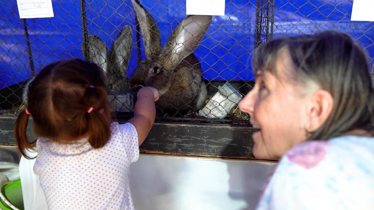 Palić PROMO  (1).jpg