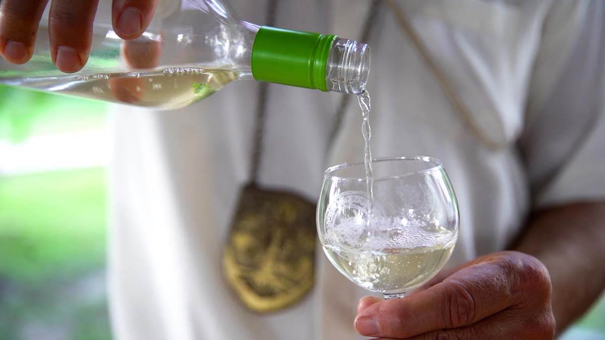 Palić PROMO  (2).jpg