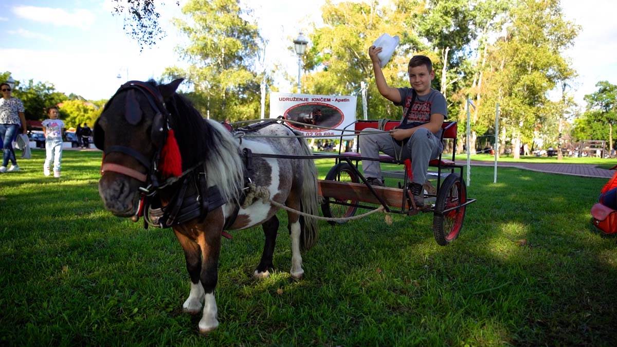 Palić PROMO  (6).jpg